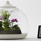 Illustration for article titled Now you can control plants with your iPhone